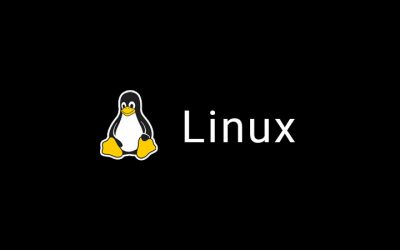 Practical Linux for developers